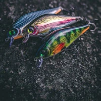 Rapala Super Shadow Rap Lures 11cm/38g